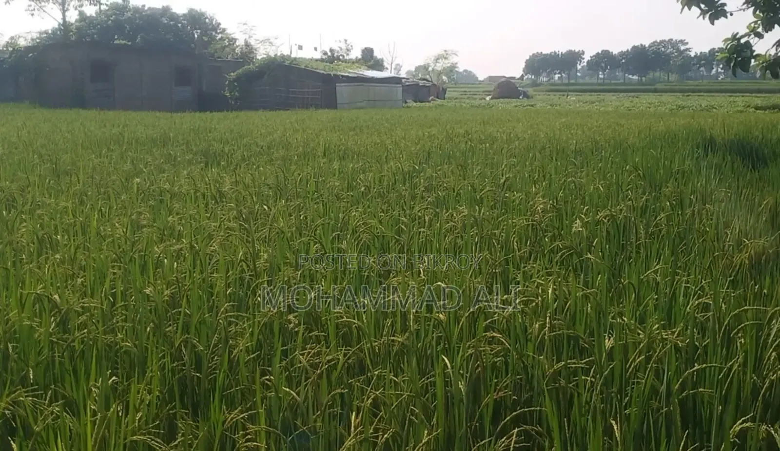 রোডের পাশে জমি কিনুন