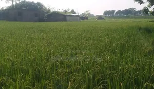 রোডের পাশে জমি কিনুন