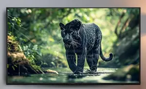 5 Year Warranty Original Smart Android LED TV 43" Inch at the best price