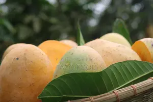 Gourmati Mango