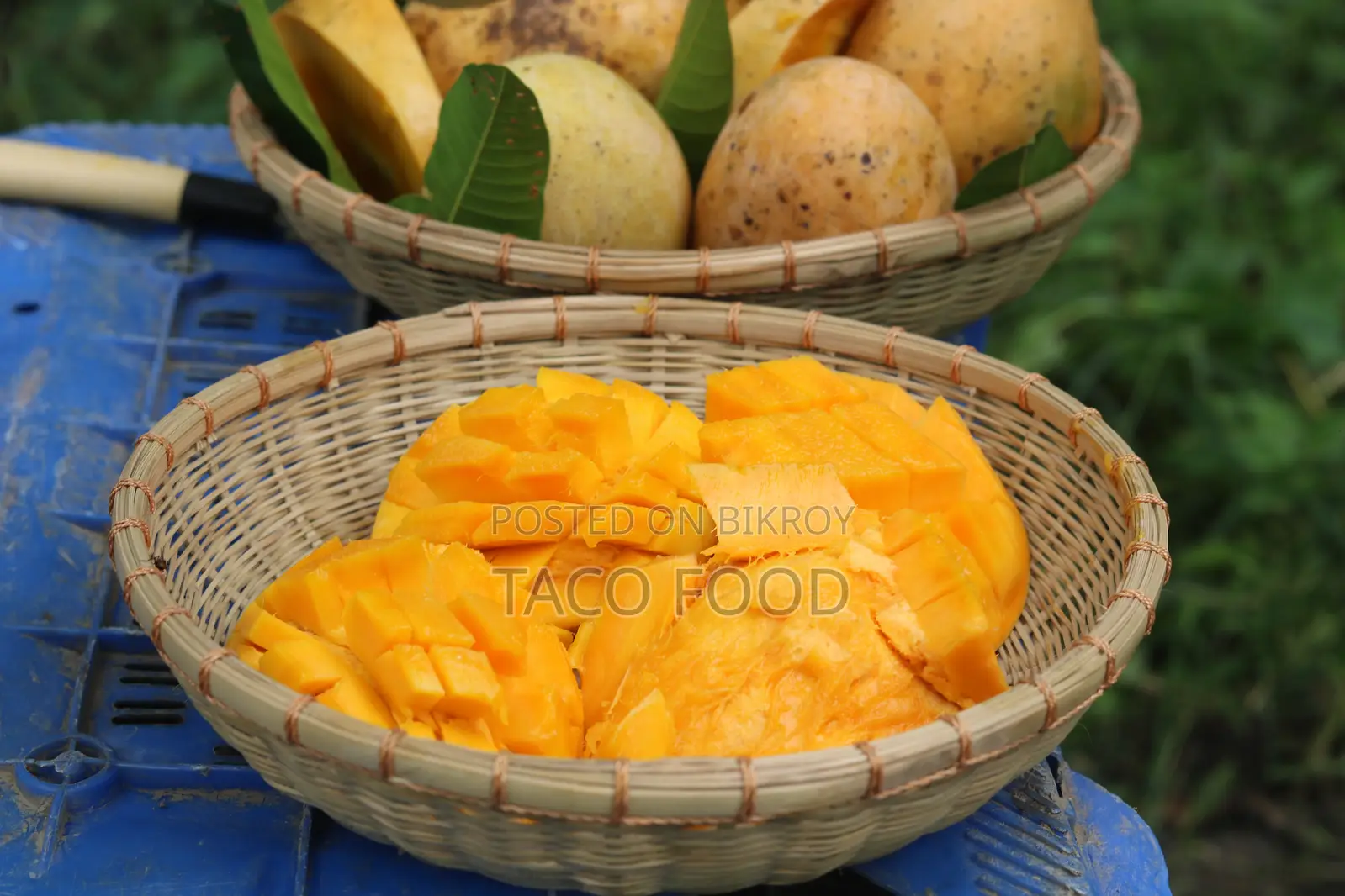 গৌড়মতি আম
