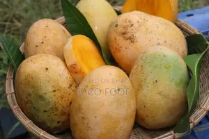গৌড়মতি আম