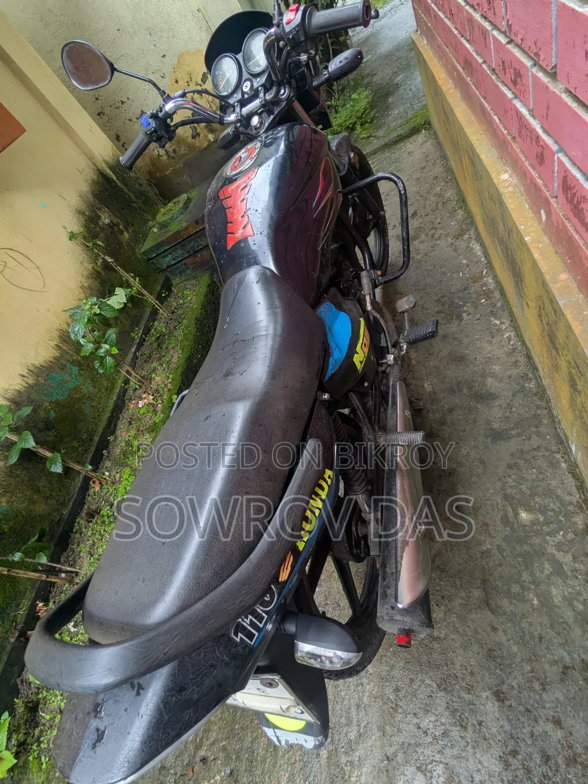 Walton Cruize 2010 Black
