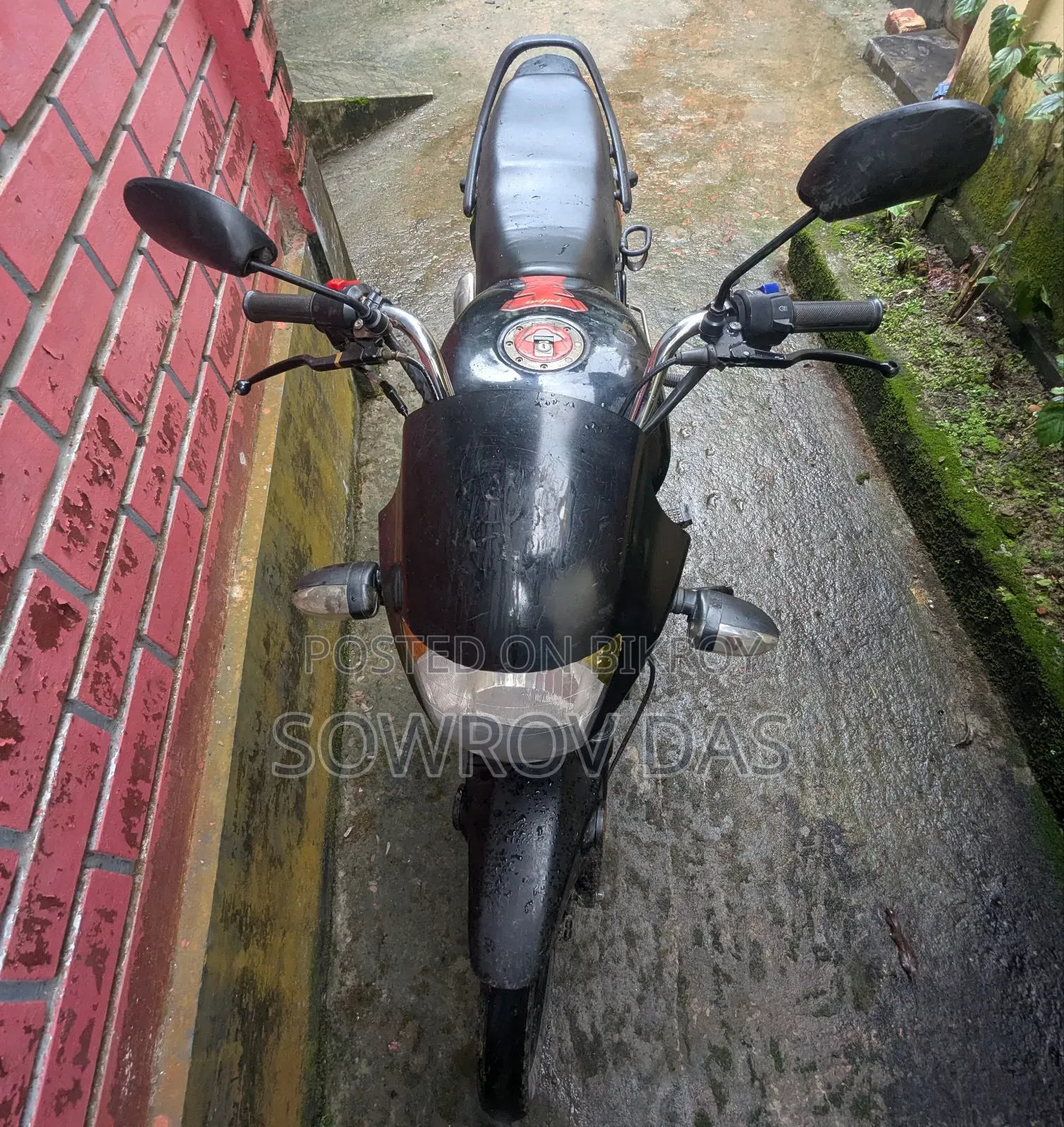 Walton Cruize 2010 Black