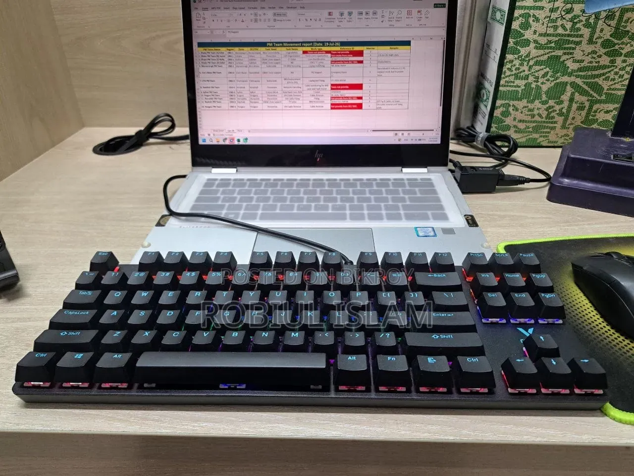 Mechanical Gaming Keyboard (Rapoo V500PRO)