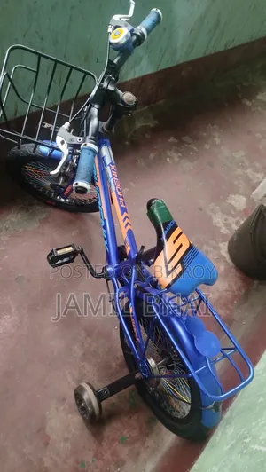 ১৬ সাইজ ফিনিক্স