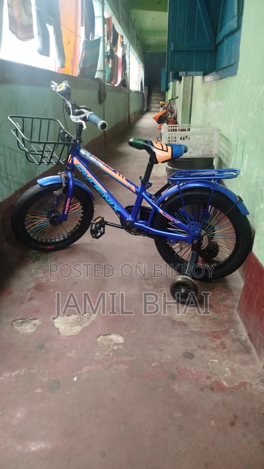 ১৬ সাইজ ফিনিক্স