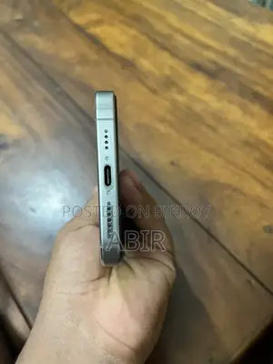 Apple iPhone 15 Pro Max 256 GB Gray