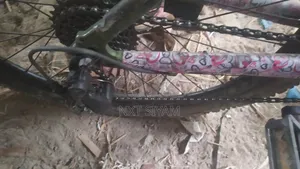 মেরিন গোল্ড অন হাডেট