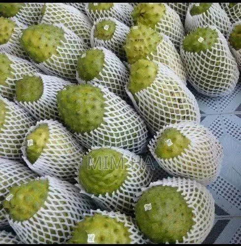 Corossol Leaf and Fruit: The Miracle Cure for Cancer