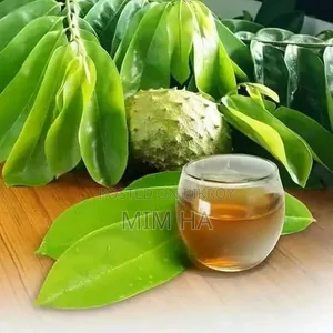 Corossol Leaf and Fruit: The Miracle Cure for Cancer