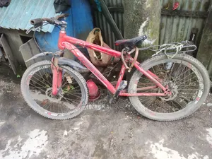 Bicycle For Sale
