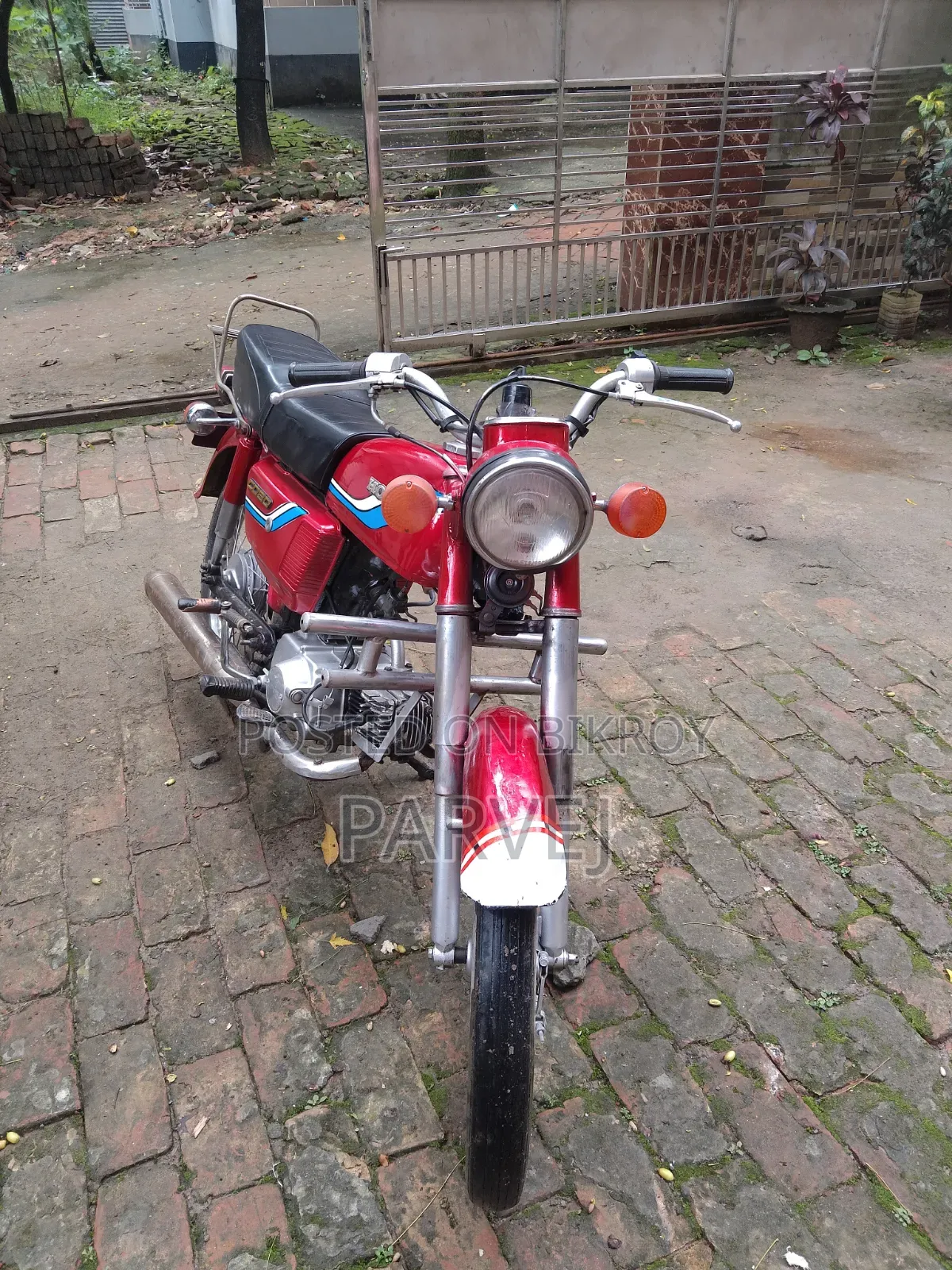 Honda Super Hawk 1999 Red