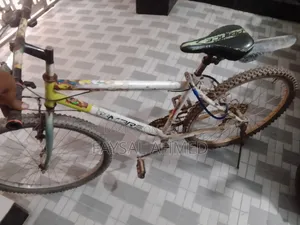 Cycle for Sale