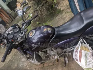 বাজাজ পালসার ১৫০ ২০০৩ পার্পল