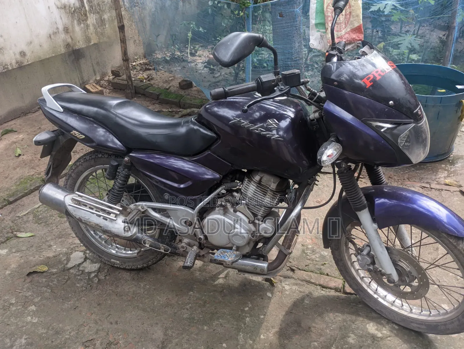 বাজাজ পালসার ১৫০ ২০০৩ পার্পল