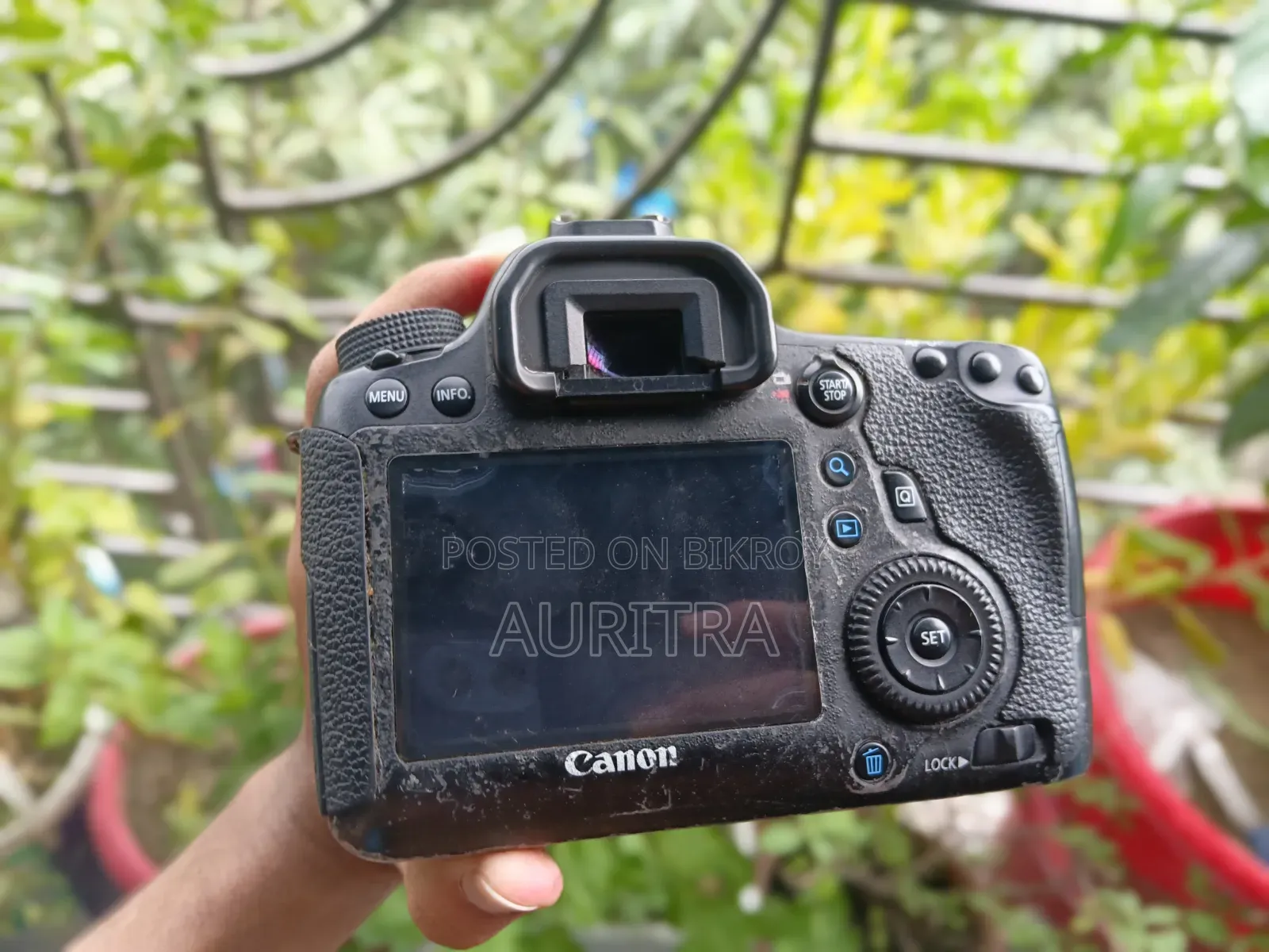 Canon 6D Full Frame Camera 75-300 Telephoto Lens