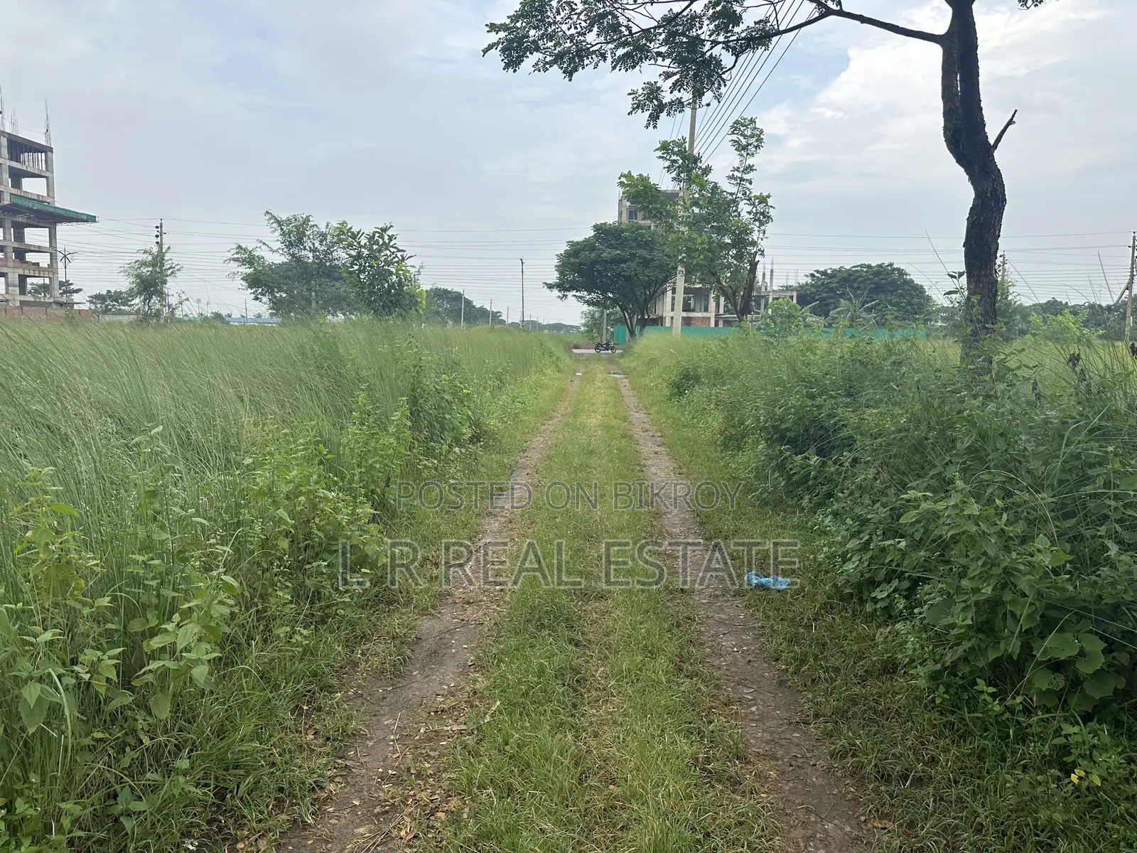 ব্লক-এন, ৩ কাঠা, ৩৬০০ সিরিয়াল, জরুরি বিক্রয় বসুন্ধরা আর/এ