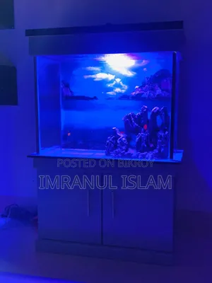 অ্যাকোয়ারিয়াম (সম্পূর্ণ নতুন)