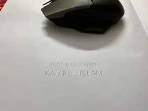 Lingbao Mouse