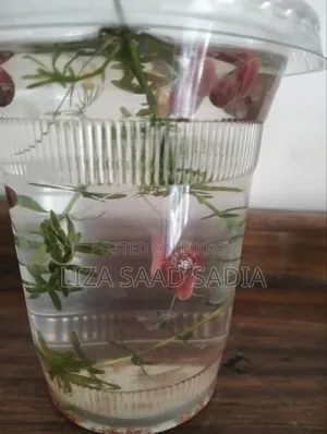 লাল র‍্যামশর্ন শামুক ৫ পিস