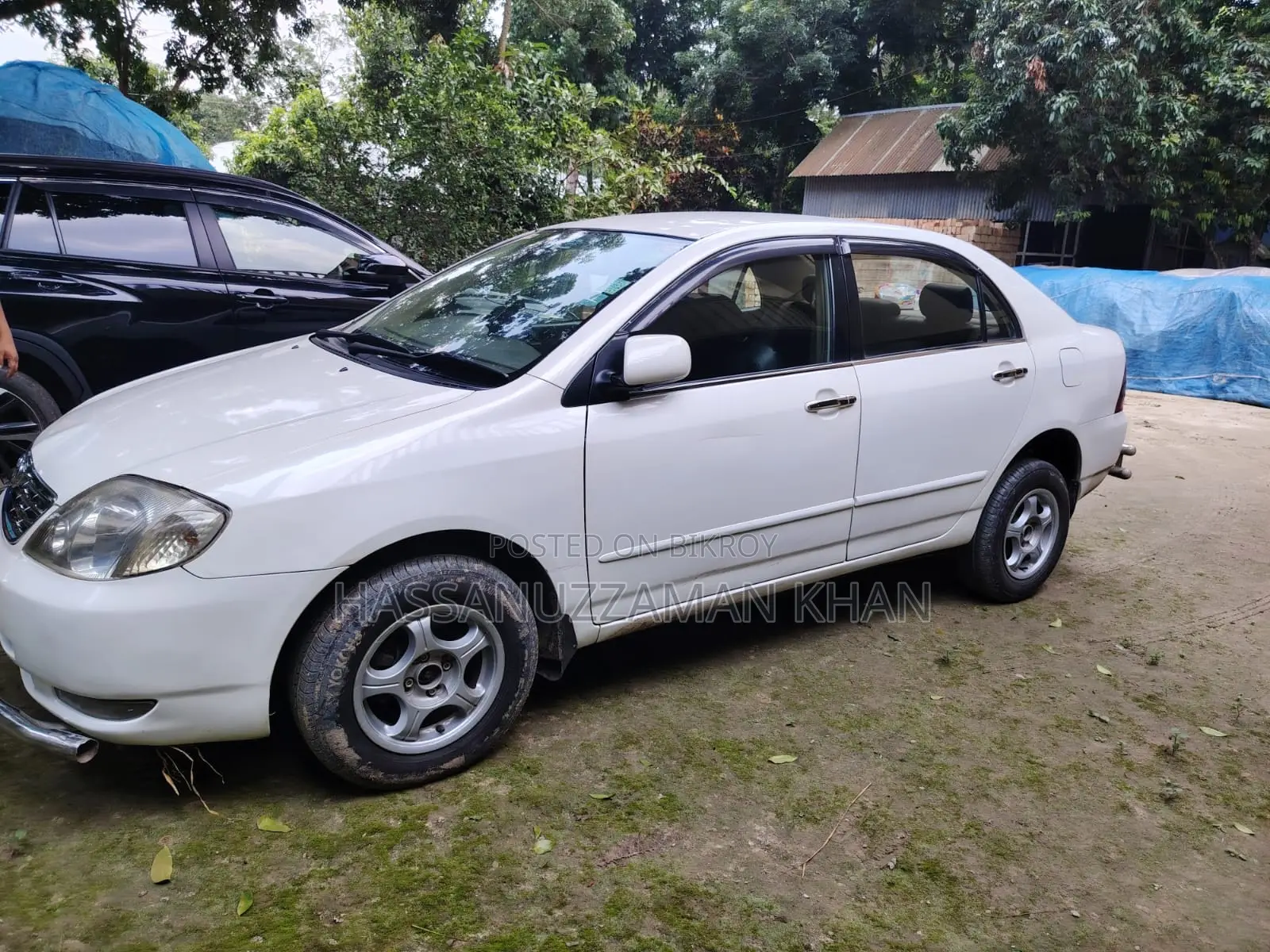 Toyota Corolla 2002 Pearl