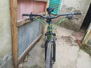 Caikel1111