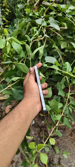 Apple iPhone 14 128 GB Blue