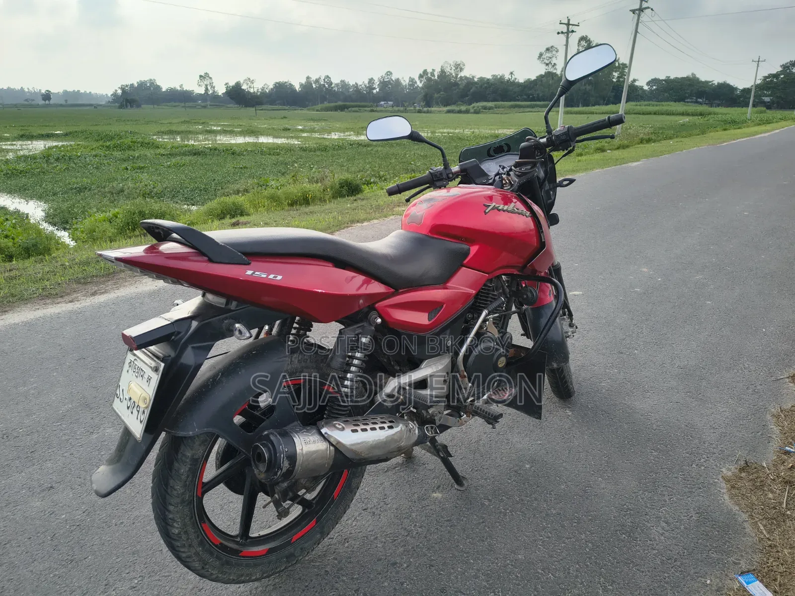 বাজাজ পালসার ১৫০ ২০১৩ লাল