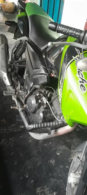 TVS Apache RTR 160 2V 2016 Green
