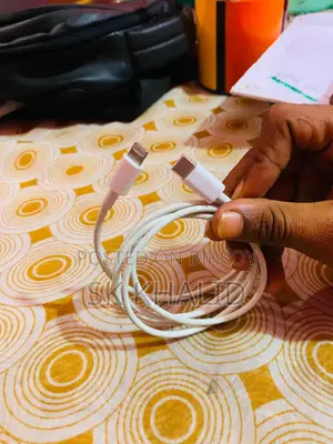 iPhone Original Charger 20W