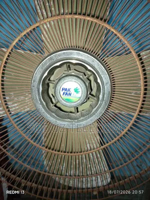 Stand Pak Fan 24"