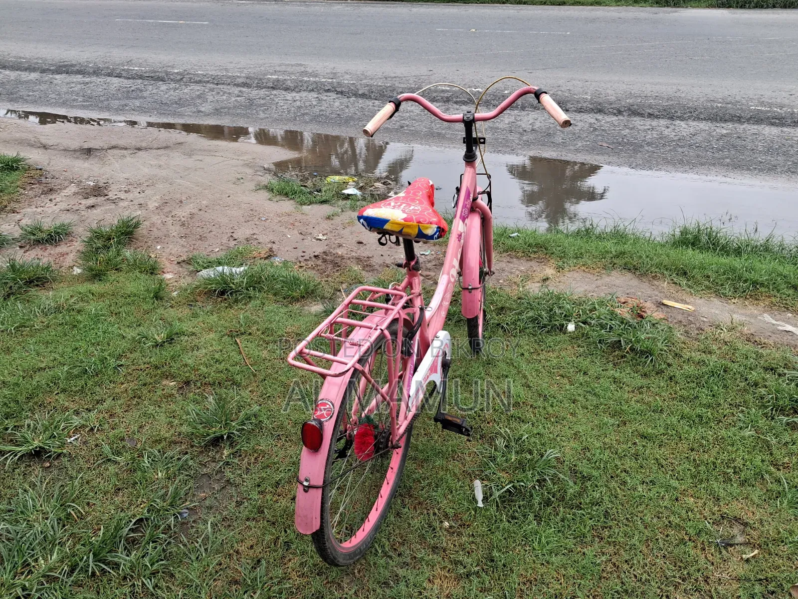 Hero Ladies Bicycle