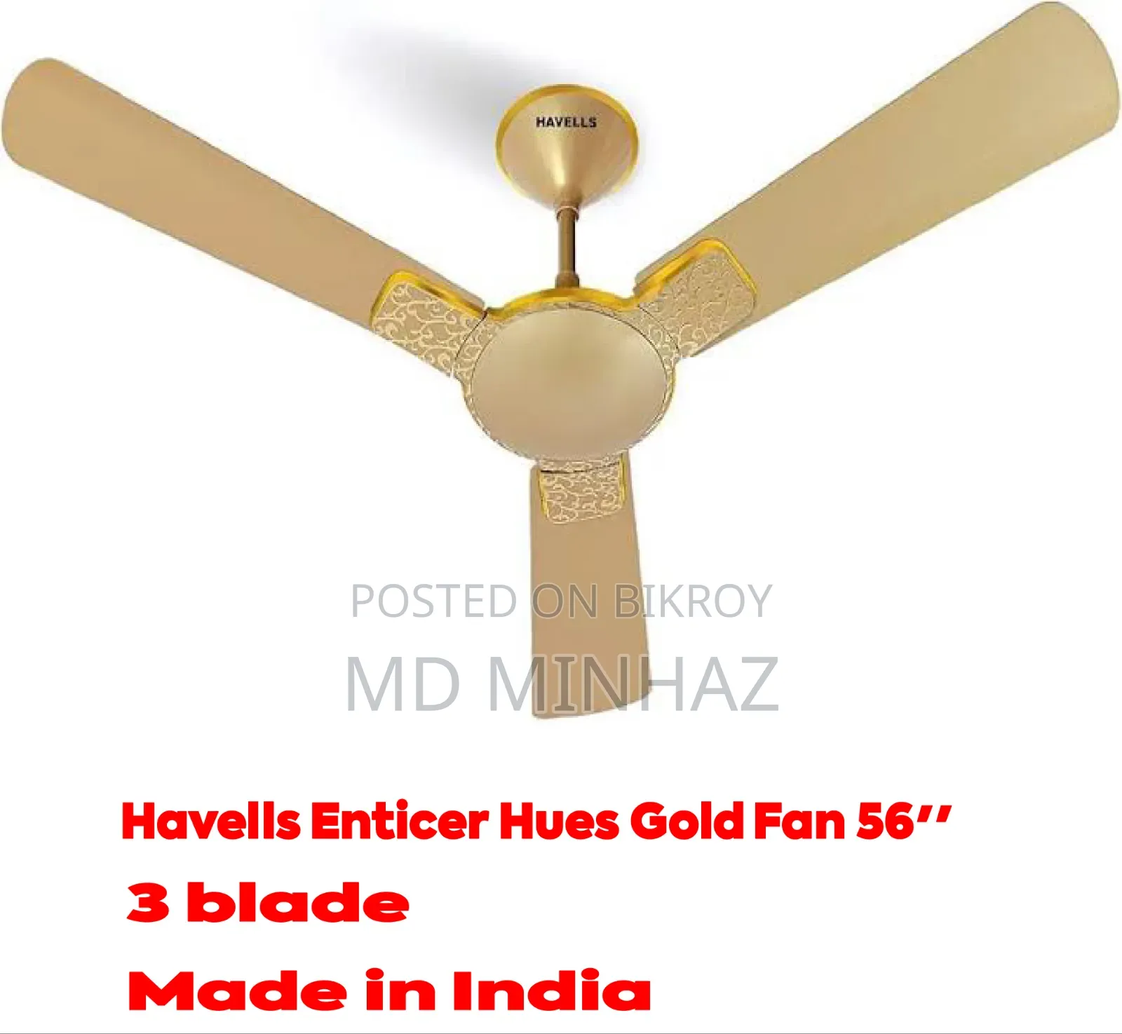 Indian Fan