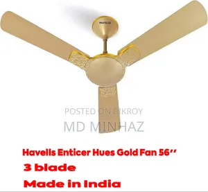 Indian Fan