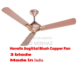 Indian Fan