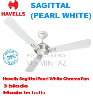 Indian Fan