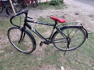 Thin-tire Bicycle