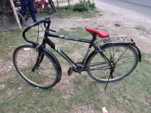 Thin-tire Bicycle