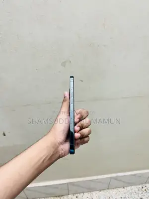 Apple iPhone 12 Pro Max 256 GB Blue