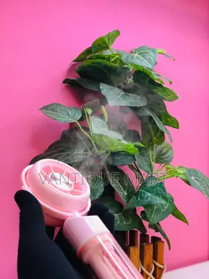 Portable Spray Mini Fan