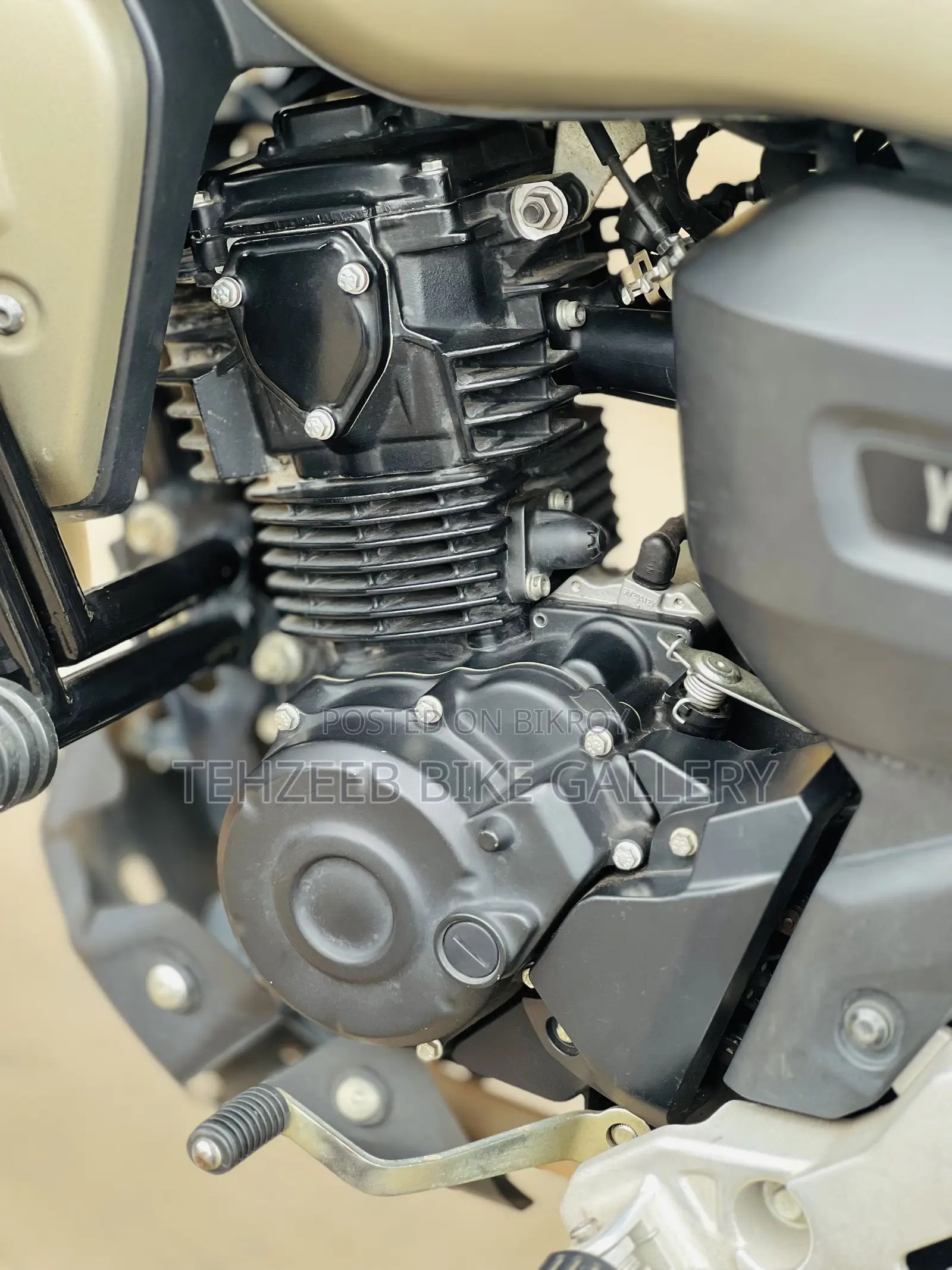 Yamaha 2025 Brown