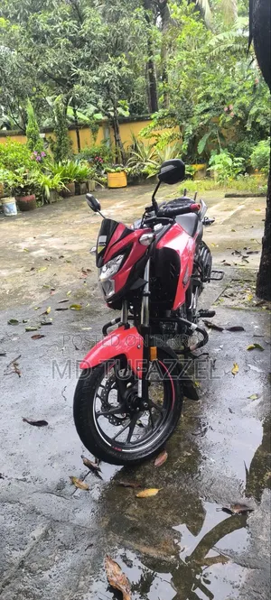 New Honda Hornet 2024 Red