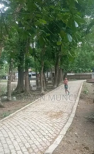 ৩০ শতাংশ আবাসিক এলাকায়