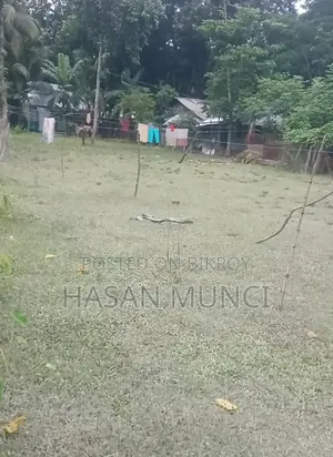 ৩০ শতাংশ আবাসিক এলাকায়