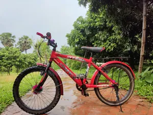Prince 20" Full Serviced Kids Cycle – New Everything | 4,500 BDT