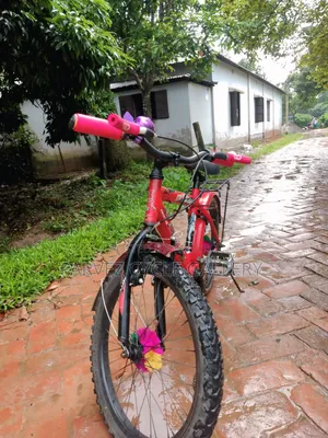 Prince 20" Full Serviced Kids Cycle – New Everything | 4,500 BDT