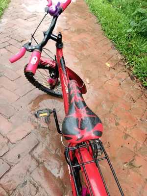 Prince 20" Full Serviced Kids Cycle – New Everything | 4,500 BDT