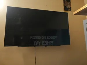 Sony Brand 49 Inches