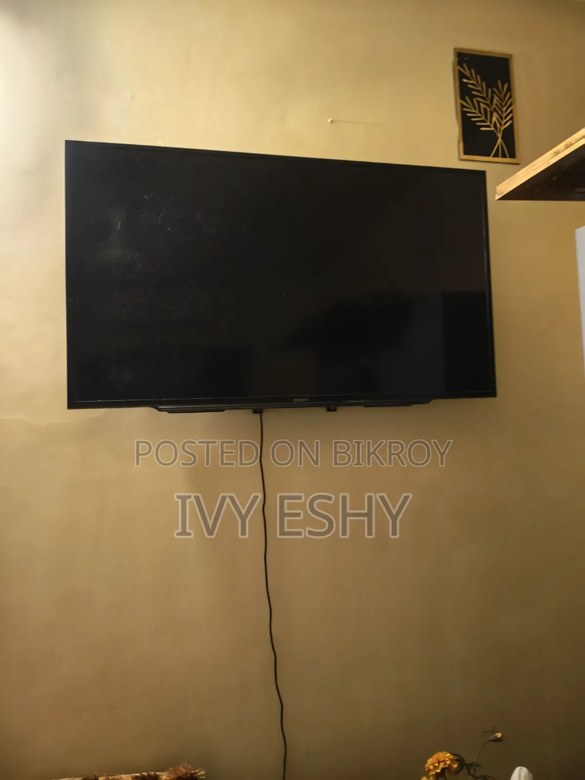 Sony Brand 49 Inches
